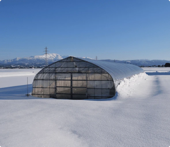 福井の雪景色